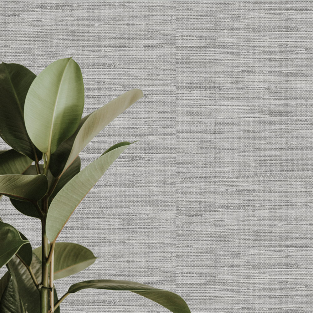 Close up of the installed grey grasscloth effect wallpaper, also shows leafy plant in the foreground